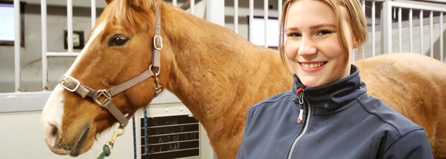 Opiskelija opettaja seksi videot
